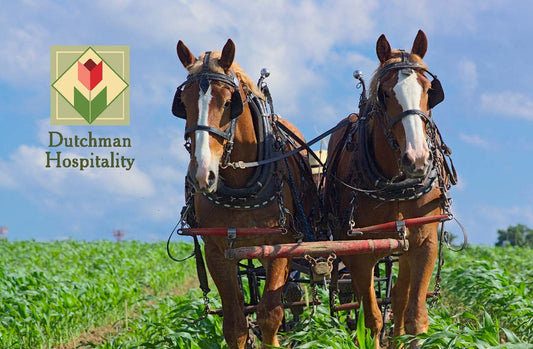 Summer Horses Gift Card